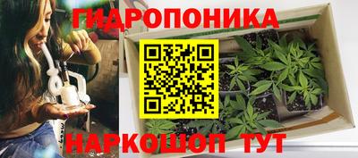 дмт Апшеронск