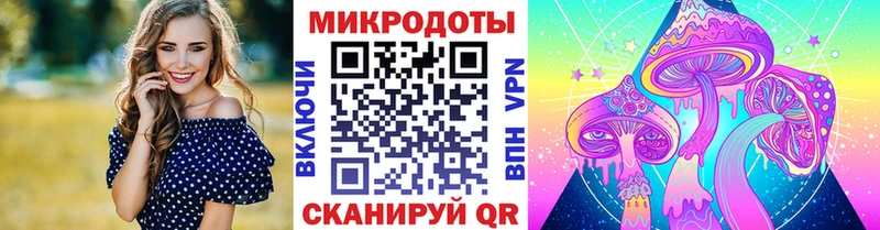 Псилоцибиновые грибы GOLDEN TEACHER  купить наркотики цена  Богданович 