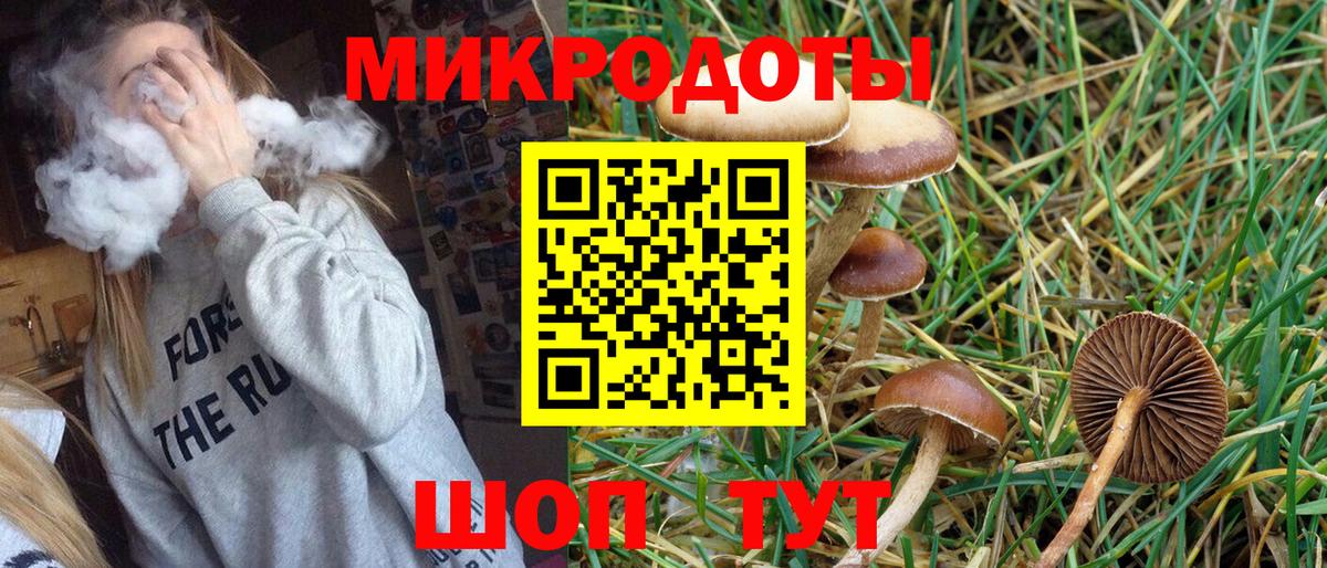 Псилоцибиновые грибы Psilocybe Богданович