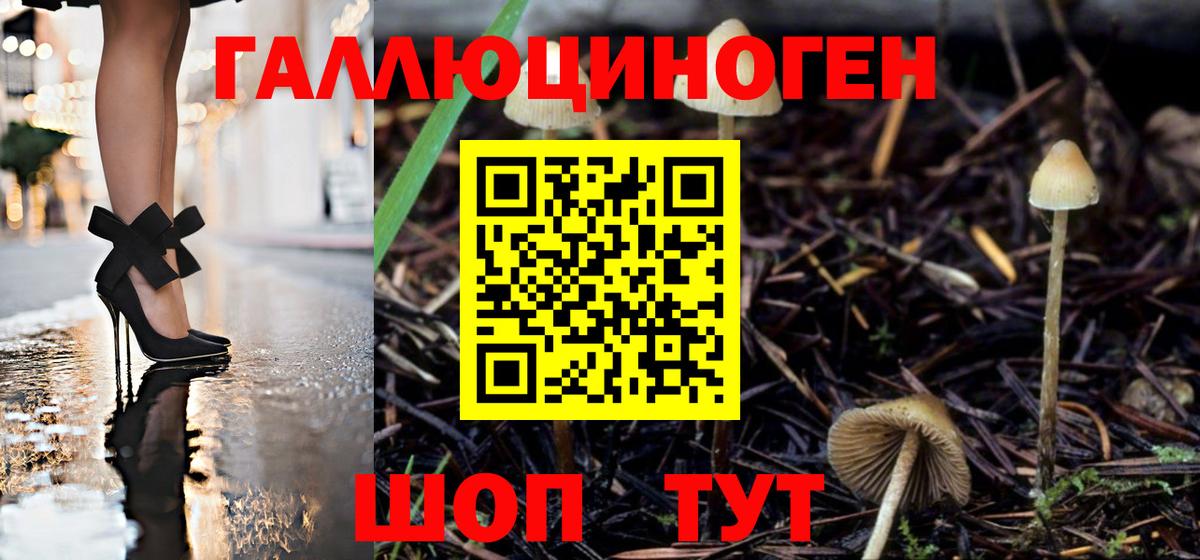 Богданович  Псилоцибиновые грибы Magic Shrooms  Вход с VPN  Галлюциногенные грибы прущие грибы 