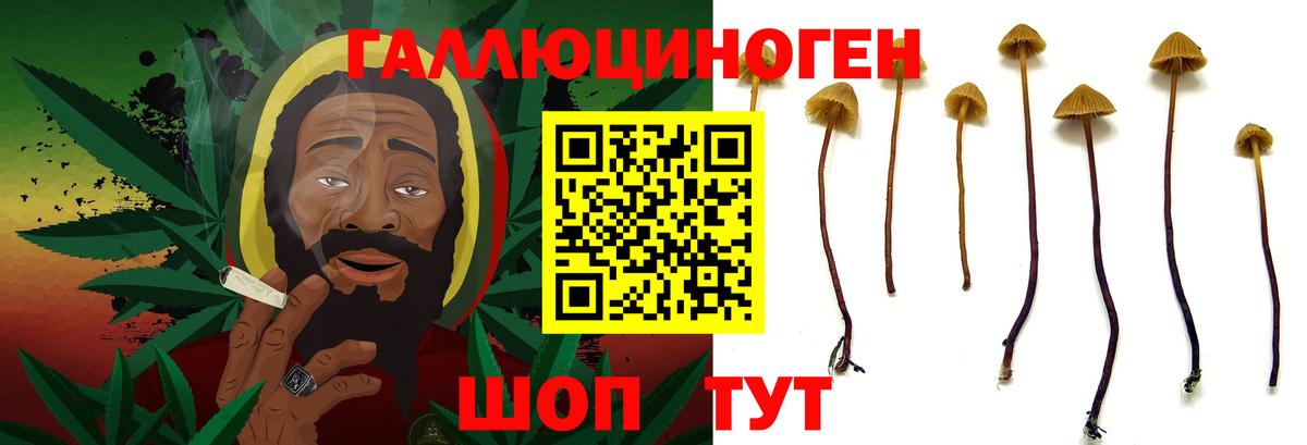 Псилоцибиновые грибы MAGIC MUSHROOMS  Галлюциногенные грибы мухоморы  Богданович 